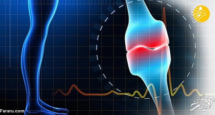 ۱۰ مزیت جالب قارچ